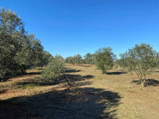 Gewerbegrundstück zum Kauf 247.000 € Pula 52100