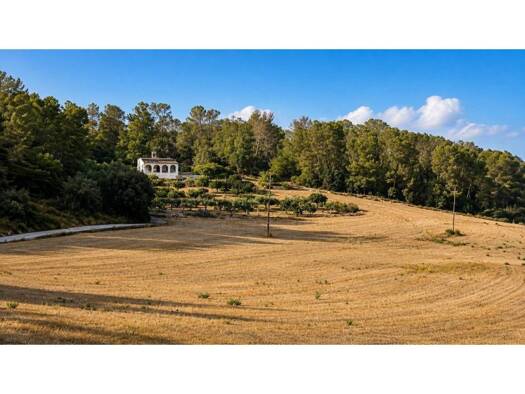 Acker-/Waldstück zum Kauf 425.000 € Algaida 07210