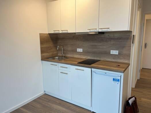 Studio zur Miete 240 € 1 Zimmer 23,7 m² frei ab sofort Westerbeck Sassenburg 38524