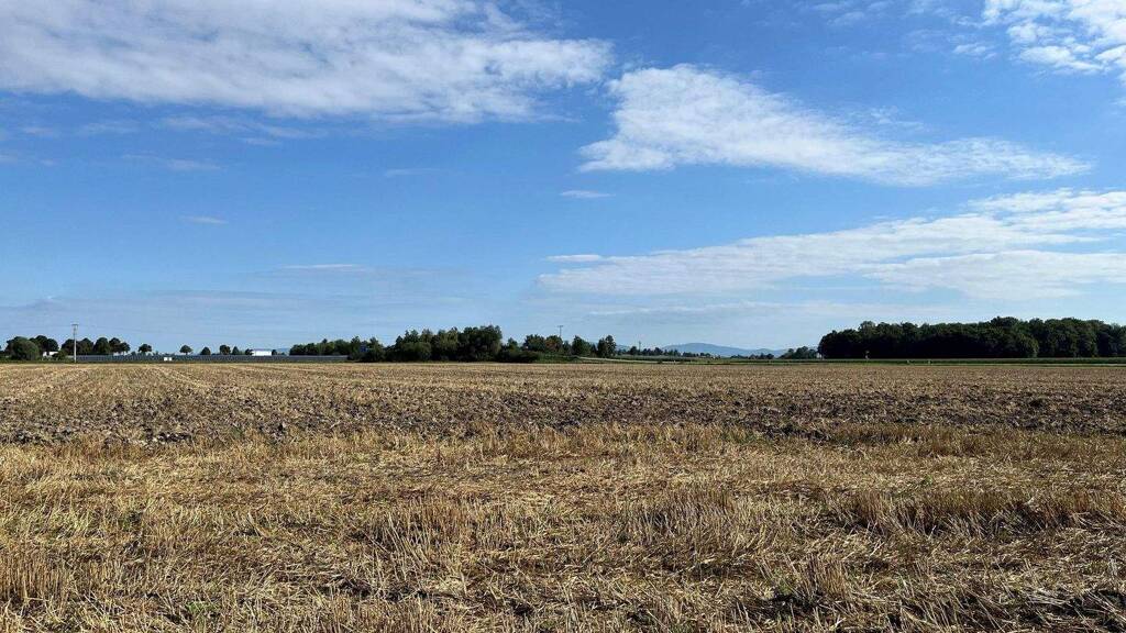 Landwirtschaftliche Fläche zum Kauf 350.000 € 17.846 m² Grundstück Wallersdorf 94522