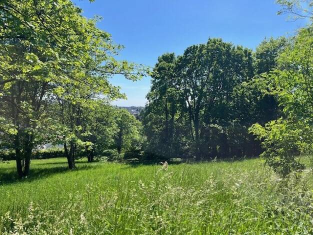 Grundstück zum Kauf 1.990.000 € 1.329 m² Grundstück Bad Soden Bad Soden am Taunus 65812