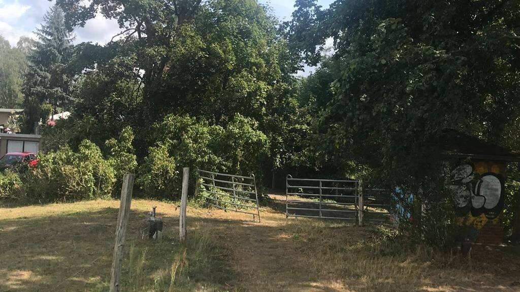 Gewerbegrundstück zum Kauf 15.000.000 € 5.000 m² Grundstück Neukölln Berlin 12057