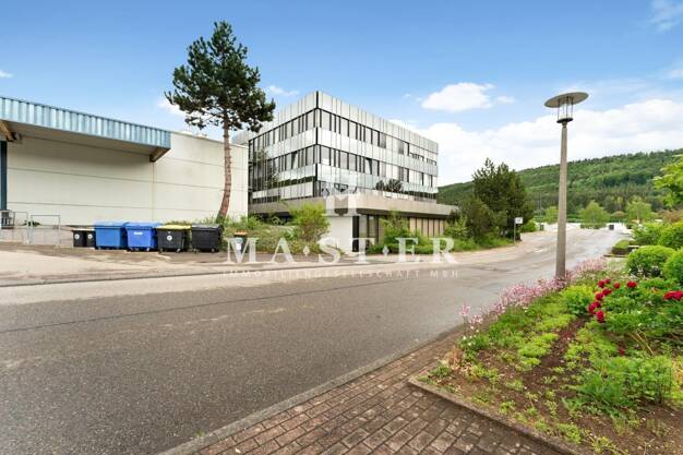 Bürofläche zur Miete provisionsfrei 378 m² Bürofläche teilbar ab 378 m² Wurmlingen 78573