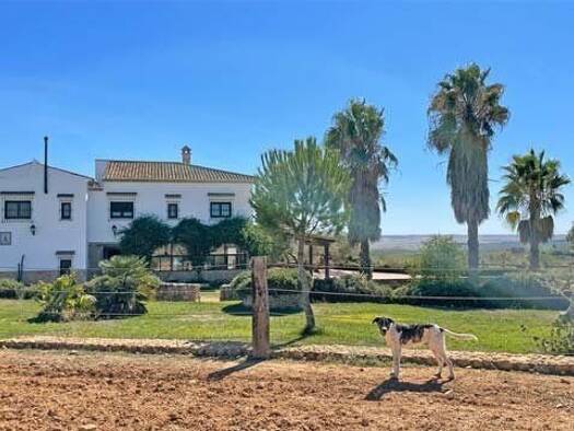 Landhaus zum Kauf 1.290.000 € 11 Zimmer 450 m² 870.000 m² Grundstück Chucena 21891