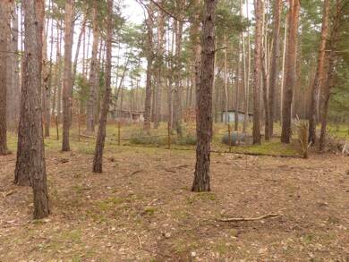 Land-/Forstwirtschaft zum Kauf 3.000 € 1.378 m² Grundstück Fuchsweg o. Nr. Borkwalde 14822