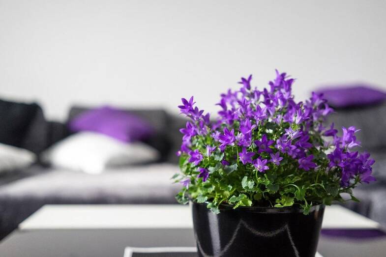 Wohnung zur Miete 980 € 3 Zimmer 95 m² Bernau Bernau 83233