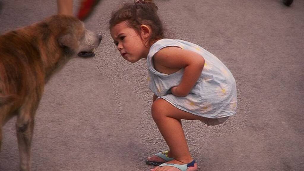 Einfamilienhaus zum Kauf 150.000 € 3 Zimmer 97 m² 222 m² Grundstück Mértola 7750-210