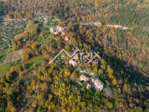 Wohn- und Gewerbegrundstück zum Kauf 299.000 € Motovun Motovun 52424