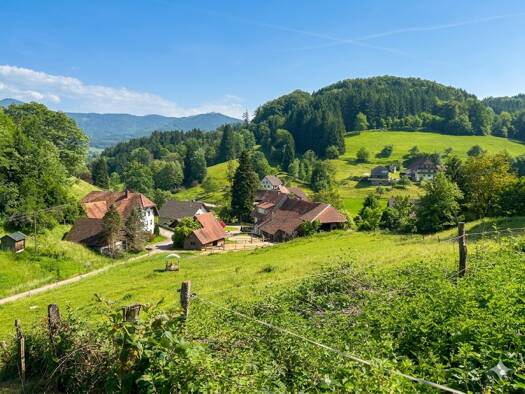 Grundstück zum Kauf 950.000 € 4.195 m² Grundstück Katzenmoos Elzach 79215