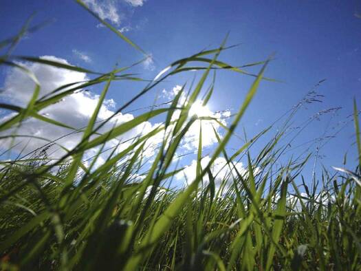 Grundstück zum Kauf 1.300.000 € 1.089 m² Grundstück Feldafing 82340