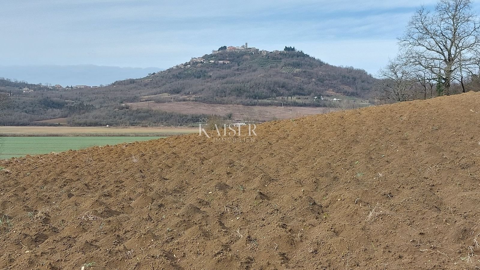 Land-/Forstwirtschaft zum Kauf 261.000 € Motovun center