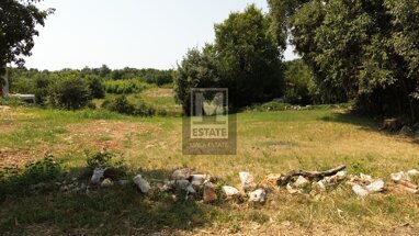 Land-/Forstwirtschaft zum Kauf 150.000 € Porec center