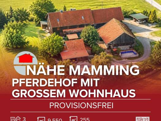 Einfamilienhaus zum Kauf provisionsfrei 799.000 € 7 Zimmer 255 m² 10.000 m² Grundstück Mamming Mamming 94437