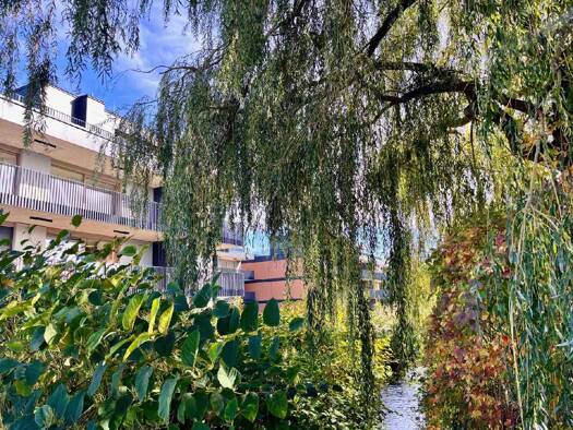 Wohnung zum Kauf 329.000 € 2 Zimmer 54 m² Achau 2481