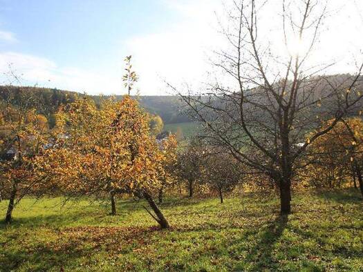 Grundstück zum Kauf provisionsfrei 195.000 € 3.398 m² Grundstück frei ab 25.03.2026 An der roten Mauer Wald-Amorbach Breuberg, OT Wald-Amorbach 64747