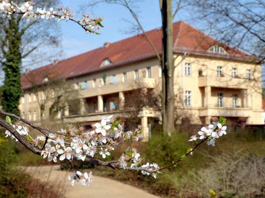 Wohnung zur Miete 1.358 € 3 Zimmer 123,5 m² 2. Geschoss frei ab 01.01.2027 Klosterstraße 30 Altstadt Brandenburg an der Havel 14770