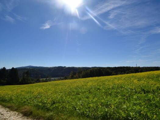 Land-/Forstwirtschaft zum Kauf 192.700 € 19.270 m² Kellberg Thyrnau 94136