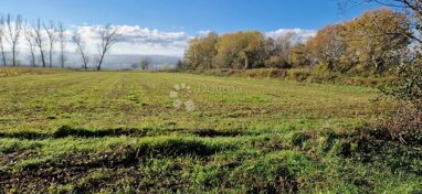 Land-/Forstwirtschaft zum Kauf 35.000 € Polje Cepic 52232