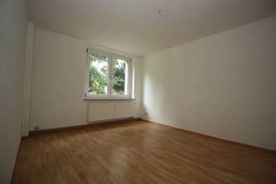 Wohnung zur Miete 177 € 1 Zimmer 29,5 m² EG frei ab sofort Ferdinand-Sommer-Straße 11 Pöhl 08543