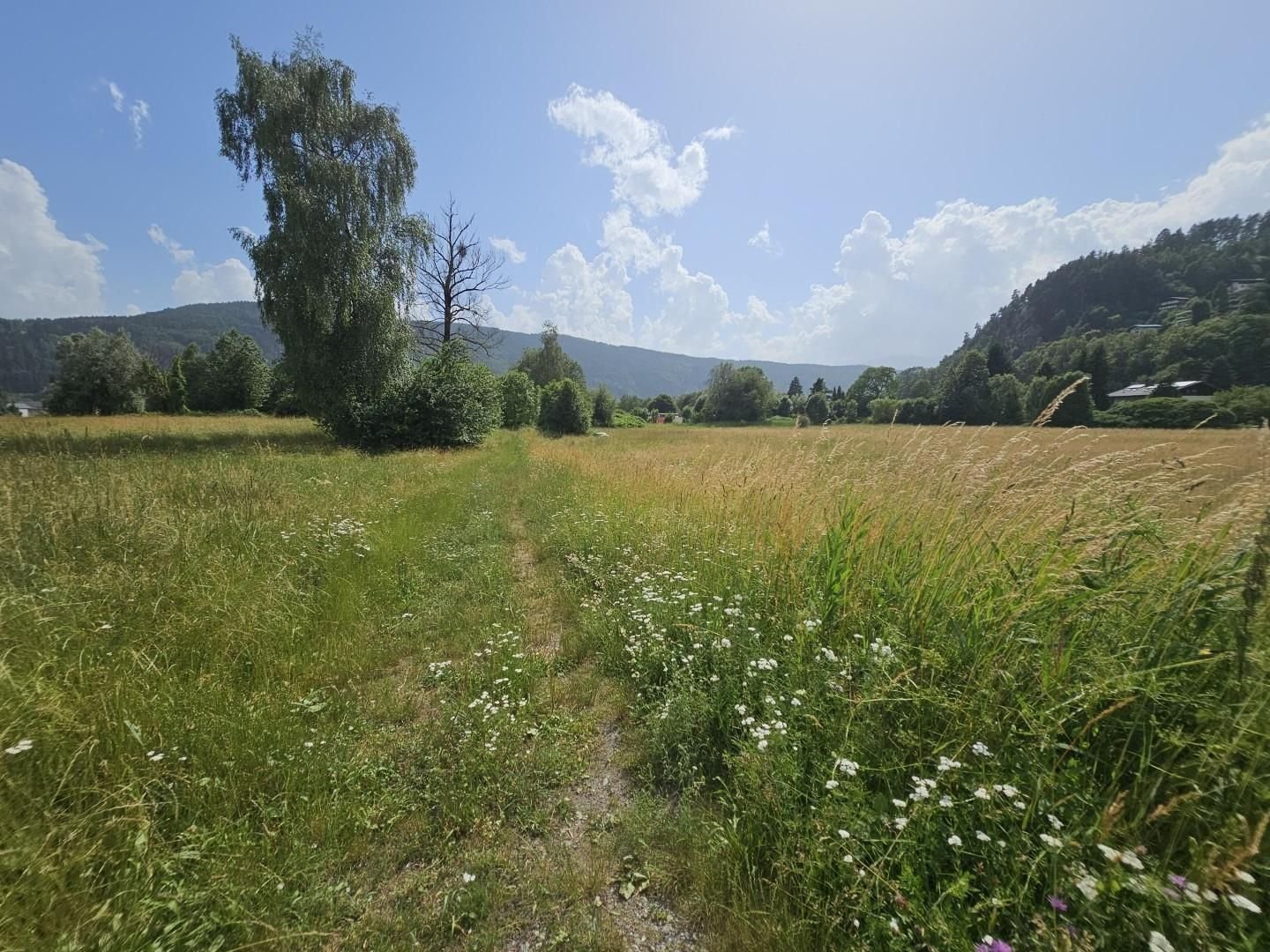 Grundstück zum Kauf 6.855 m²<br/>Grundstück Döbriach 9873