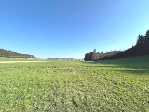 Land-/Forstwirtschaft zum Kauf 119.000 € 18.974 m² Grundstück Herretshofen Kirchhaslach / Herretshofen 87755