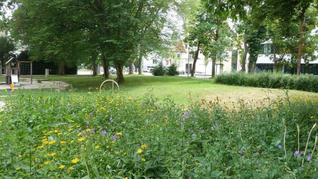 H172-3 Top-Kapitalanlage mit exclusiver Stadtwohnung in Bestlage