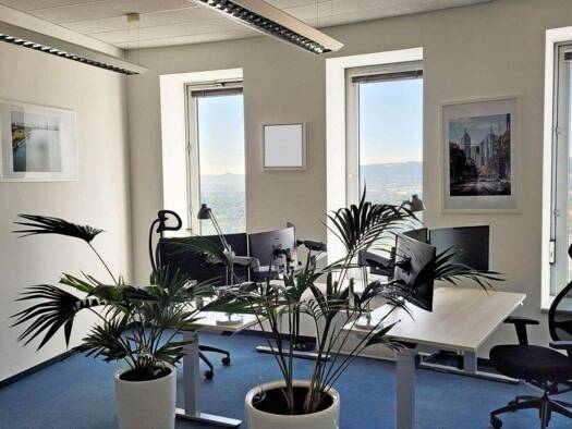 Bürofläche zur Miete provisionsfrei 850 € 66 m² Bürofläche Leutragraben Zentrum Jena 07743