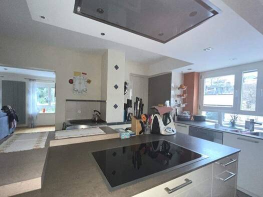 Mehrfamilienhaus zum Kauf 665.000 € 10 Zimmer 246 m² 724 m² Grundstück Oppenau 77728