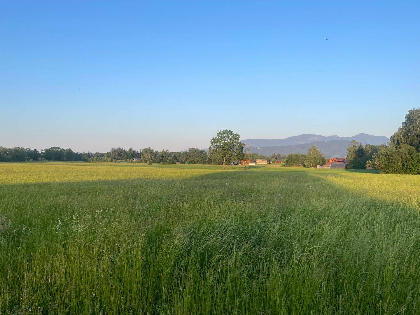 Land-/Forstwirtschaft zum Kauf - Ansicht 3