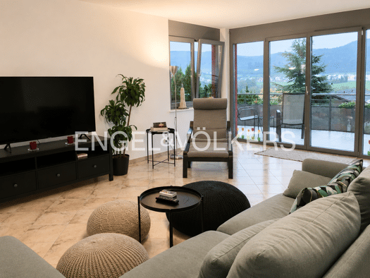 Wohnung zum Kauf 369.000 € 3,5 Zimmer 106 m² EG Hohentengen 79801