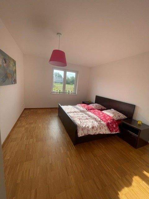 Immobilie in Baddeckenstedt - Sichere Kapitalanlage: Modernes & barrierefreies EFH inkl. Carport und toller Außenanlage (solide vermietet) - Bild 4