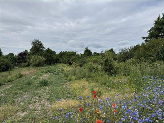 Grundstück zum Kauf 249.000 € 5.800 m² Grundstück Gartenweg 1 Wellen Hohe Börde OT Niederndodeleben 39167