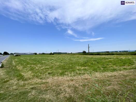 Gewerbegrundstück zum Kauf 549.000 € 5.134 m² Grundstück Gramatneusiedler-Straße Mitterndorf an der Fischa 2441