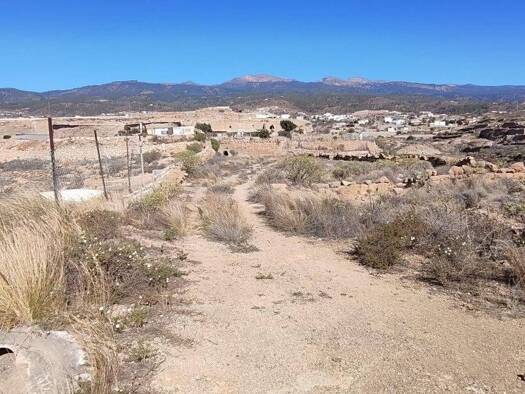 Acker-/Waldstück zum Kauf 65.000 € Granadilla de Abona 38617