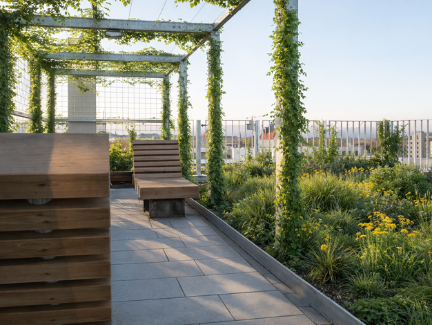 Studio zur Miete - Erstbezug 388 € 1 Zimmer 22,2 m² 4. Geschoss frei ab 01.03.2026 Hansastraße 22 Alte Neustadt Magdeburg 39106