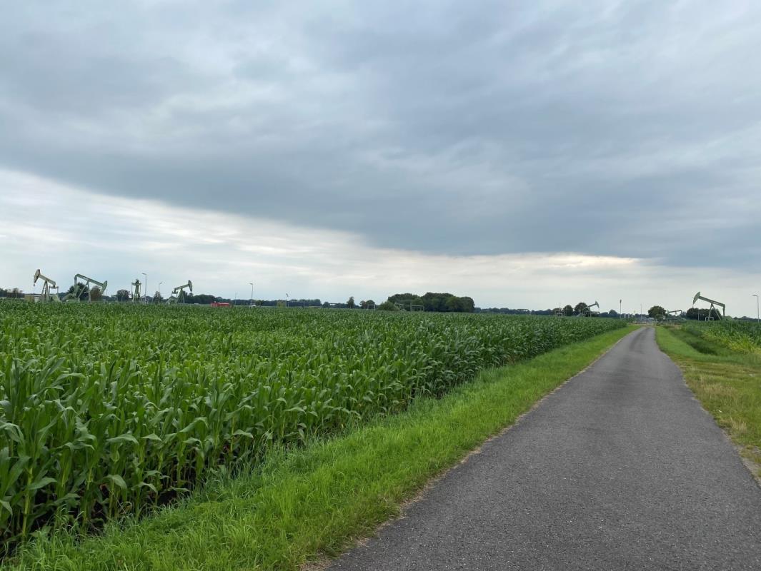 Landwirtschaftliche Fläche zum Kauf 93.578 m²<br/>Grundstück Emlichheim Emlichheim 49824