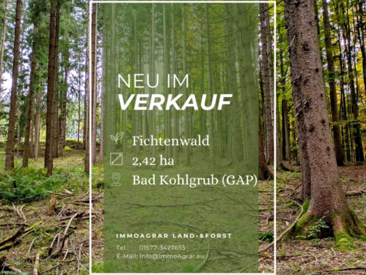 Land-/Forstwirtschaft zum Kauf 47.300 € 24.295 m² 24.295 m² Grundstück Bad Kohlgrub 82433