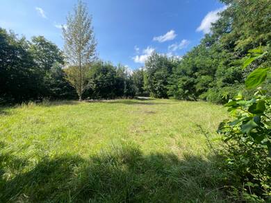 Grundstück zum Kauf 499.000 € 7.531 m² Grundstück Levern Stemwede / Levern 32351