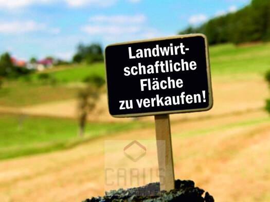 Land-/Forstwirtschaft zum Kauf 189.500 € 18.659 m² Grundstück Stephansposching Stephansposching 94569