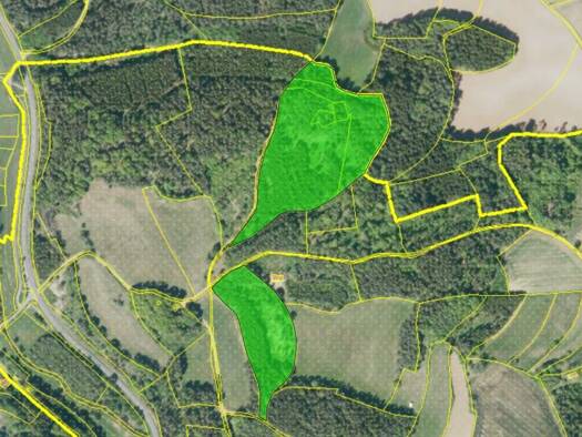 Land-/Forstwirtschaft zum Kauf 61.500 € 40.040 m² Grundstück Hochstahl Aufseß 91347