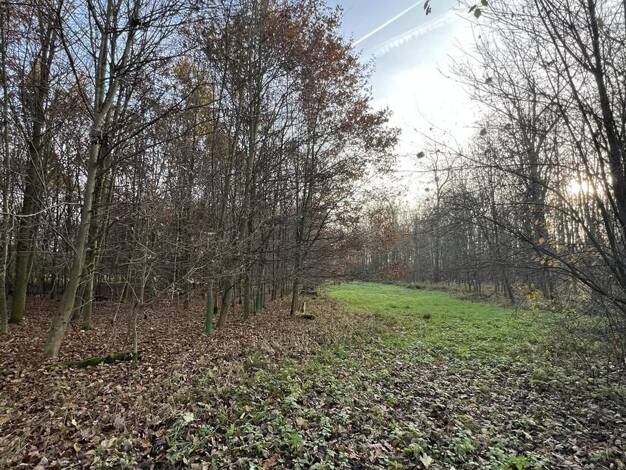 Land-/Forstwirtschaft zum Kauf 149.000 € 14.960 m² Grundstück Pfahlhof Buxheim 85114