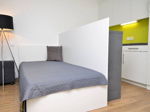 Wohnung zur Miete Wohnen auf Zeit 695 € 1 Zimmer 21 m² frei ab 01.10.2025 Frauenland Würzburg 97074