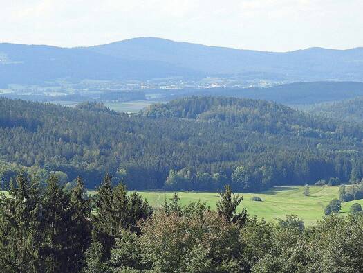 Gastronomie/Hotel zum Kauf 77.000 m² Grundstück Bodenmais Bodenmais 94249