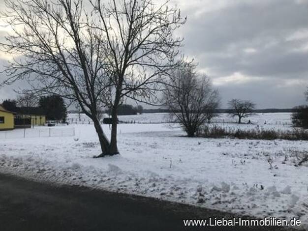 Grundstück zum Kauf 54.900 € 2.500 m² Grundstück Krumbeck Feldberger Seenlandschaft 17258
