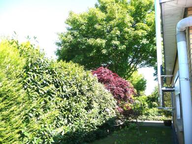 Bungalow zum Kauf 4 Zimmer 105 m² 553 m² Grundstück Barmstedt 25355