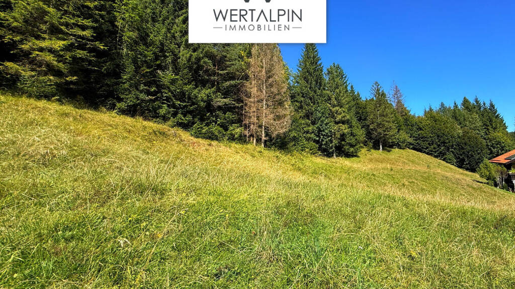 Grundstück zum Kauf 820.000 € 2.917 m² Grundstück Wallgau 82499