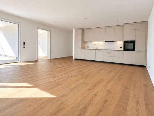 Wohnung zur Miete 1.450 € 3 Zimmer 102 m² Geschoss -1/3 frei ab 01.12.2026 Tiengen Waldshut-Tiengen 79761