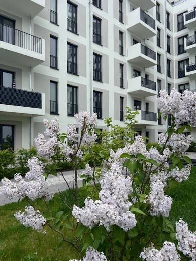 Terrassenwohnung zur Miete 768 € 1 Zimmer 29,5 m² EG frei ab sofort Am Maselakepark 31 Hakenfelde Berlin 13587