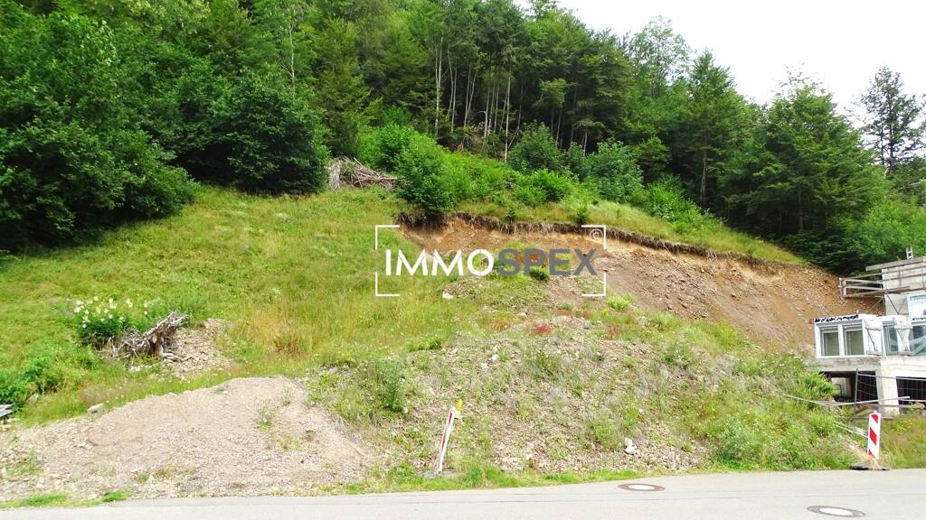 Grundstück zum Kauf 60.000 € 876 m² Grundstück Baugenehmigung vorhanden Vordertodtmoos Todtmoos 79682