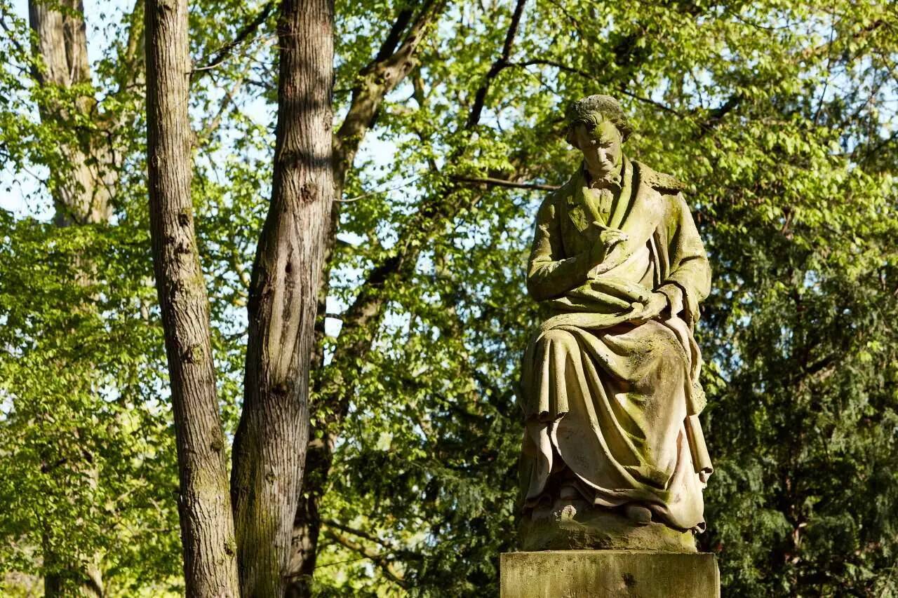 Property thumbnail 23